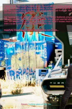 Cyberpunk V’s Advtuters (38)