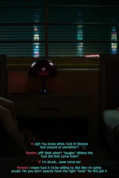 Cyberpunk V’s Advtuters (44)