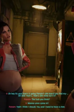 Cyberpunk V’s Advtuters (51)