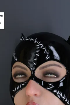 The Disastrcus Misadventures Of Catwoman (10)