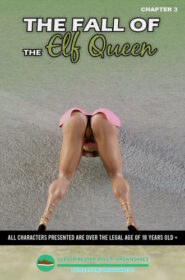 Brown Shoes – The Fall of the Elf Queen 3