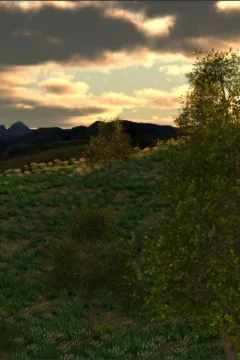 Splitting Silence (3)