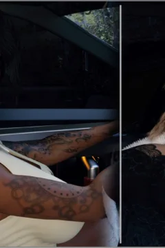 The Spider and the Fly (28)