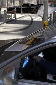 The Spider and the Fly (77)