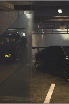 The Spider and the Fly (80)