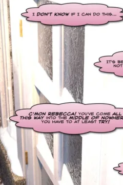 Approval Ratings 3 (3)