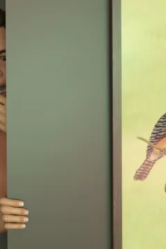 Midnight Voyeur (20)