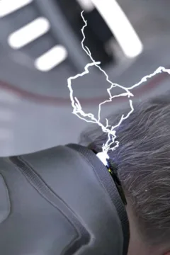 New Cat in Town (19)