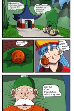 Bulma’s Search (3)