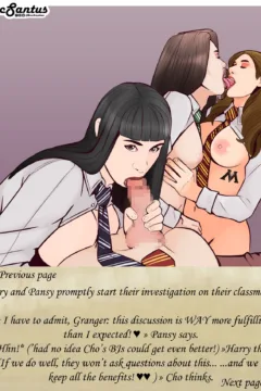 Harry and the Whorcruxes (17)