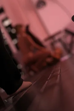 The Case Of Mrs.Smith 6 (71)