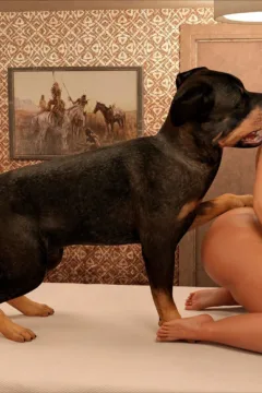 The Grandma 29 (101)