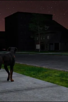 Doctor Brandie 54 (96)