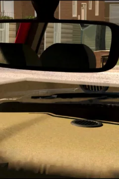 Humility’s View 2-29