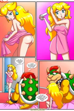 The Mushroom Kingdom Secret 0004