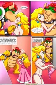 The Mushroom Kingdom Secret 0005