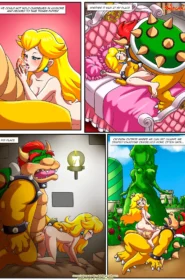 The Mushroom Kingdom Secret 0007