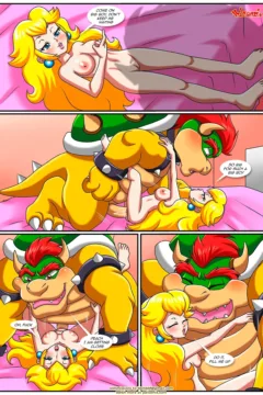 The_Mushroom_Kingdom_Secret_10011