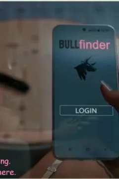 Stella’s Perfect Match (5)