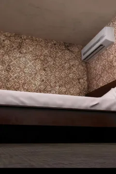 Immoral Desires 12 (131)