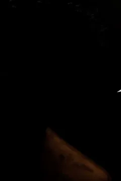 Blacked Home 11 (25)