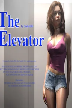 SedesDiS – The Elevator