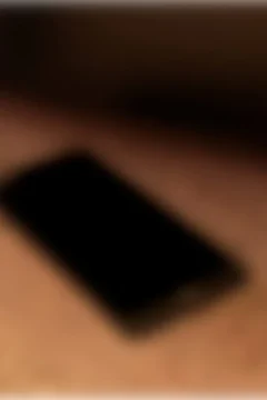 Mom On The Phone (68)